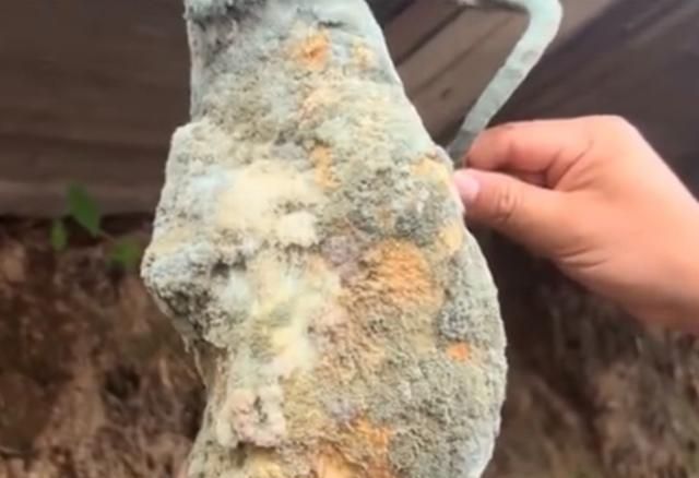 湖南腊肉长霉了照样吃 为什么发霉的老腊肉能吃