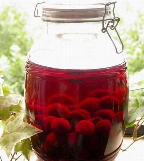 杨梅泡酒多长时间能喝 杨梅泡酒比例多少合适