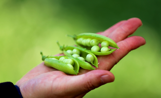 冬天国人必吃这种菜便宜又营养 三四月做什么菜最适合