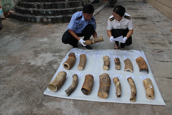 非洲象牙手镯价格_非洲象牙价格_象牙价格