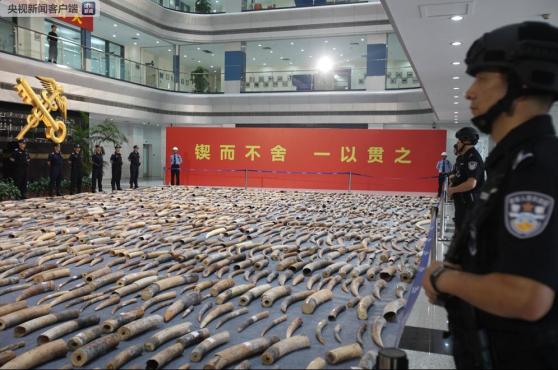 非洲象牙手镯价格_象牙价格_非洲象牙价格