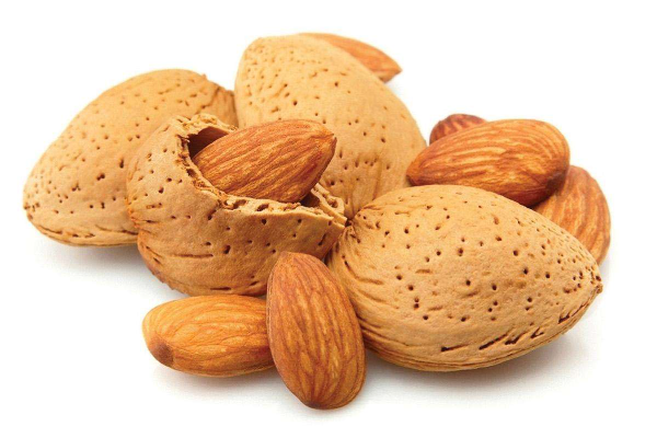 杏仁是巴旦木吗