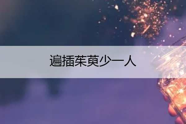 遍插茱萸少一人 遍插茱萸少一人是什么节日