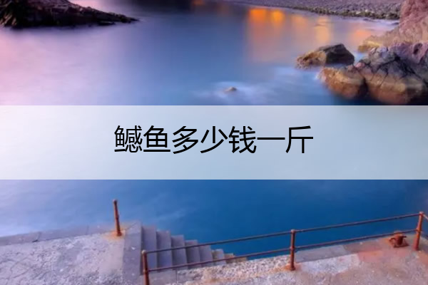 鳡鱼多少钱一斤 鳡鱼多少钱一斤2022