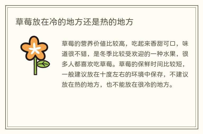 草莓放在冷的地方还是热的地方