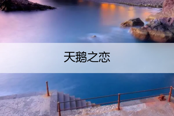 天鹅之恋 天鹅之恋主题酒店