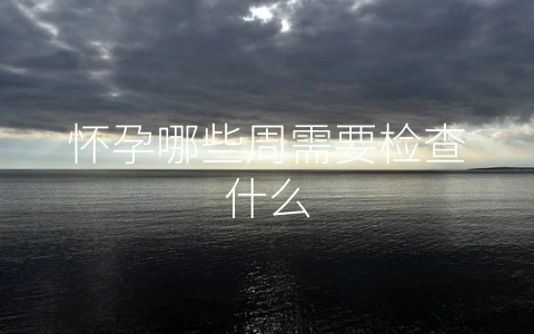 怀孕哪些周需要检查什么