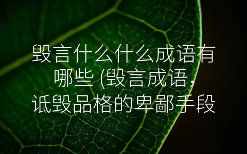 毁言什么什么成语有哪些 (毁言成语，诋毁品格的卑鄙手段)