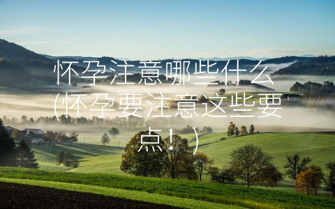 怀孕注意哪些什么 (怀孕要注意这些要点！)