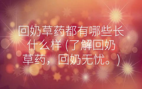 回奶草药都有哪些长什么样 (了解回奶草药，回奶无忧。)
