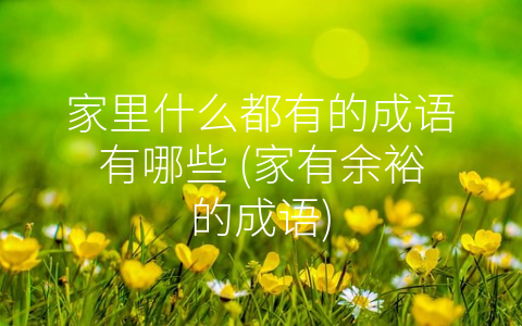家里什么都有的成语有哪些 (家有余裕的成语)
