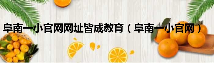 阜南一小官网网址皆成教育 阜南一小官网