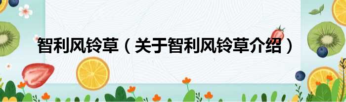 智利风铃草 关于智利风铃草介绍