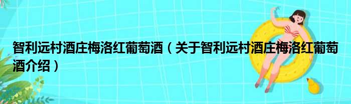 智利远村酒庄梅洛红葡萄酒 关于智利远村酒庄梅洛红葡萄酒介绍