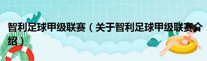 智利足球甲级联赛 关于智利足球甲级联赛介绍