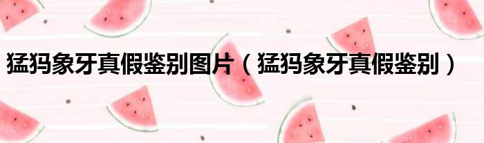 猛犸象牙真假鉴别图片 猛犸象牙真假鉴别