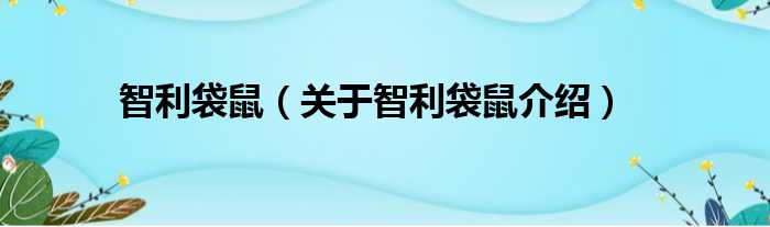 智利袋鼠 关于智利袋鼠介绍