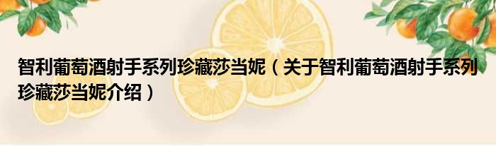 智利葡萄酒射手系列珍藏莎当妮 关于智利葡萄酒射手系列珍藏莎当妮介绍