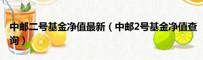中邮二号基金净值最新 中邮2号基金净值查询