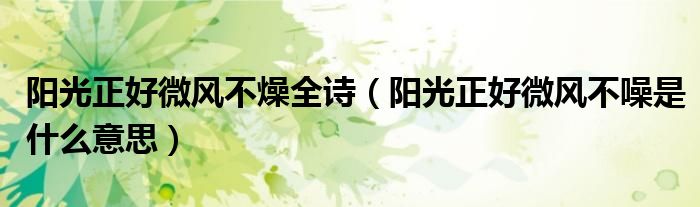 阳光正好微风不燥全诗 阳光正好微风不噪是什么意思