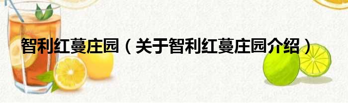 智利红蔓庄园 关于智利红蔓庄园介绍