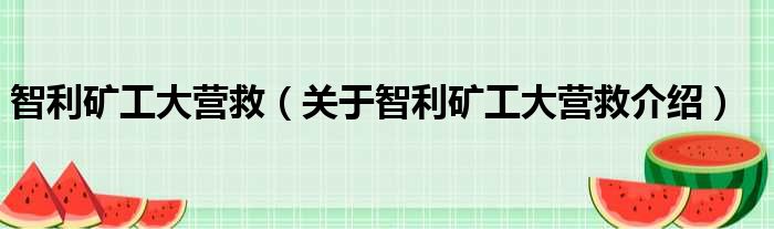 智利矿工大营救 关于智利矿工大营救介绍