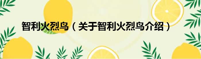 智利火烈鸟 关于智利火烈鸟介绍