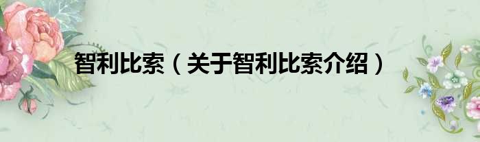 智利比索 关于智利比索介绍