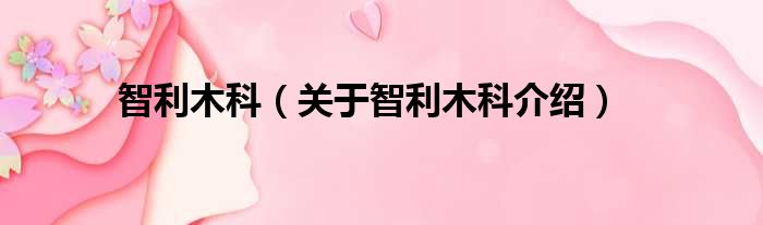 智利木科 关于智利木科介绍