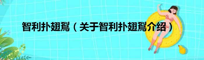 智利扑翅鴷 关于智利扑翅鴷介绍