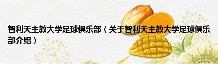 智利天主教大学足球俱乐部 关于智利天主教大学足球俱乐部介绍