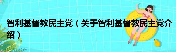 智利基督教民主党 关于智利基督教民主党介绍