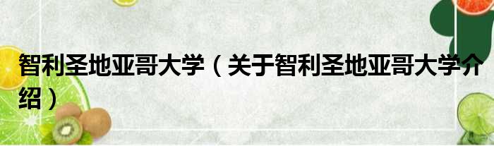 智利圣地亚哥大学 关于智利圣地亚哥大学介绍