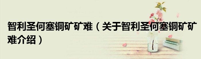 智利圣何塞铜矿矿难 关于智利圣何塞铜矿矿难介绍