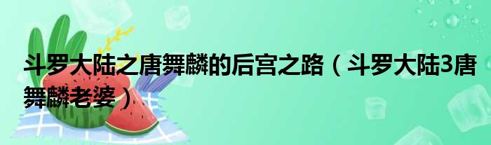 斗罗大陆之唐舞麟的后宫之路 斗罗大陆3唐舞麟老婆