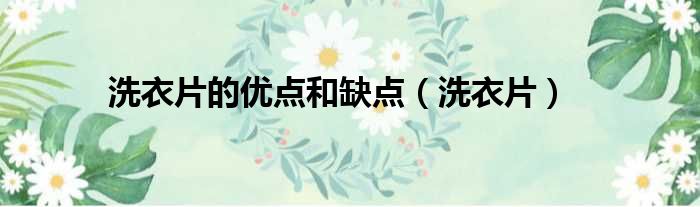 洗衣片的优点和缺点 洗衣片