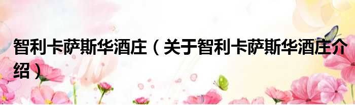 智利卡萨斯华酒庄 关于智利卡萨斯华酒庄介绍