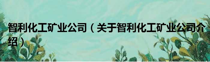 智利化工矿业公司 关于智利化工矿业公司介绍