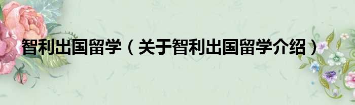 智利出国留学 关于智利出国留学介绍