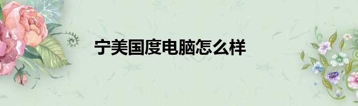 宁美国度电脑怎么样
