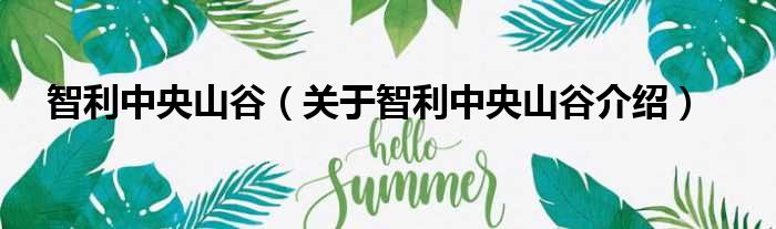 智利中央山谷 关于智利中央山谷介绍
