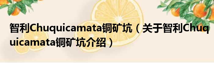 智利Chuquicamata铜矿坑 关于智利Chuquicamata铜矿坑介绍