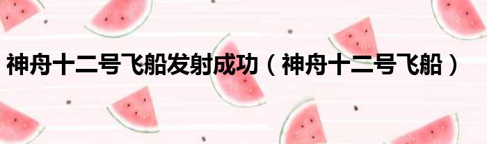 神舟十二号飞船发射成功 神舟十二号飞船
