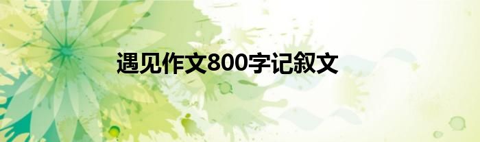 遇见作文800字记叙文