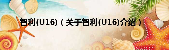 智利 U16 关于智利 U16介绍