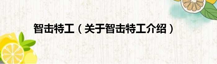 智击特工 关于智击特工介绍