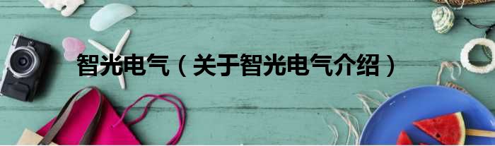 智光电气 关于智光电气介绍