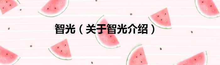 智光 关于智光介绍