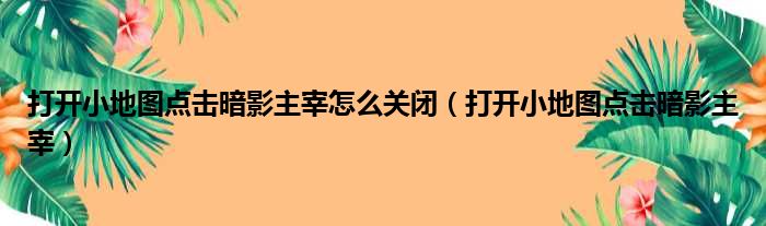 打开小地图点击暗影主宰怎么关闭 打开小地图点击暗影主宰