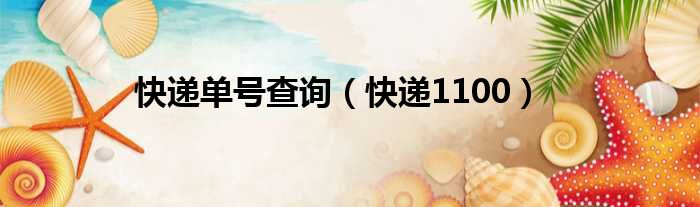 快递单号查询 快递1100